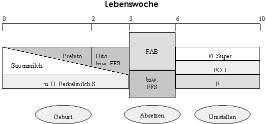 Tabelle: Ferkel-Fütterungskonzept