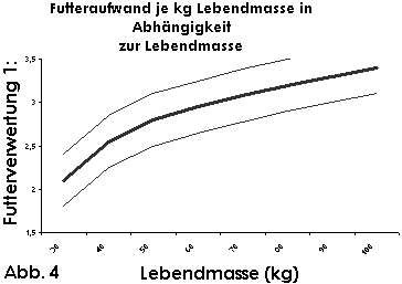 Tabelle: Futteraufwand bei Mastschweinen